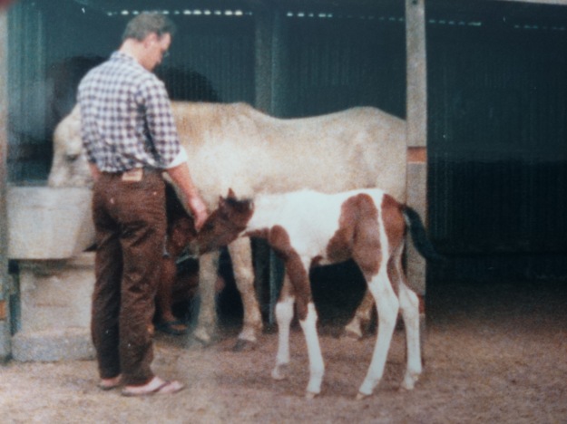 Me and the girls. Dixie (mum), Bonnie (foal), and my daughter hiding over the back. (taken with a very old C26 Kodak Camera, then I took a photo of the photo :) )